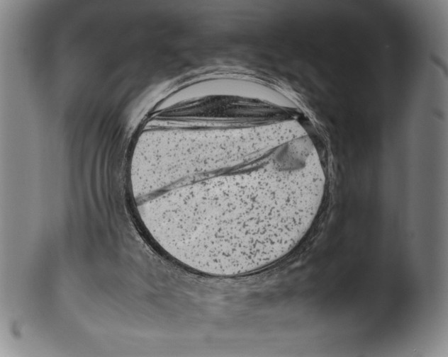 X0000099470007200806061231