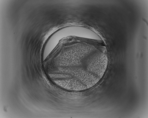 X0000099470008200806061231