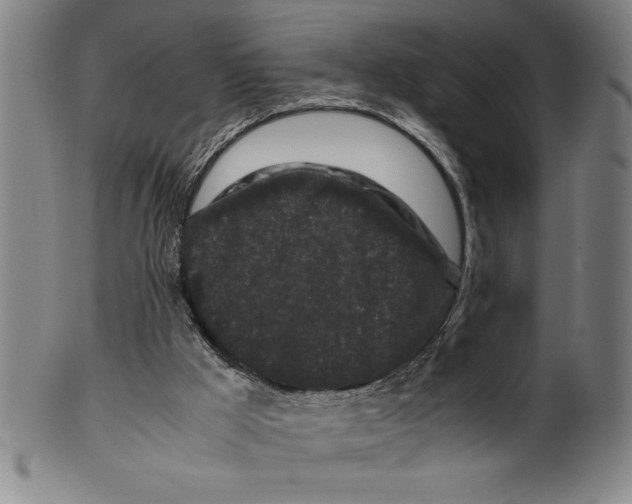 X0000099470009200806061231