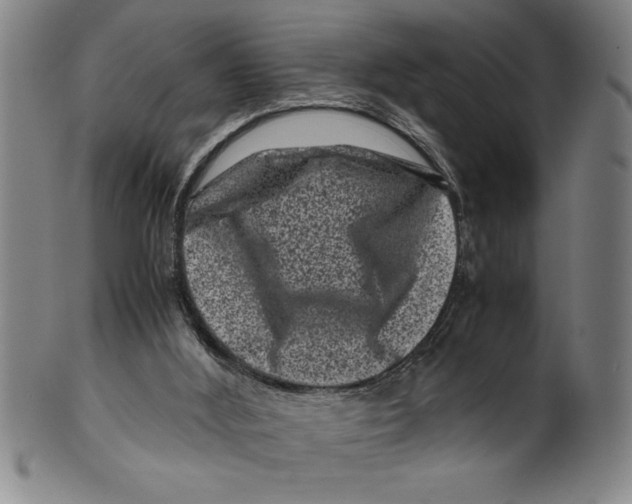 X0000099470012200806061231