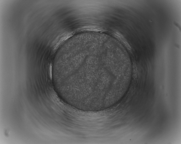 X0000099470014200806061231