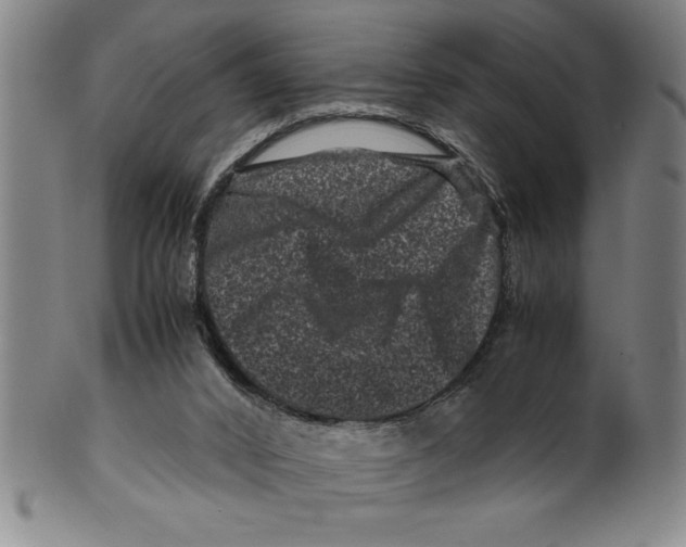 X0000099470016200806061231