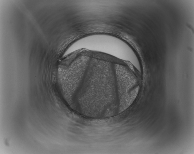 X0000099470017200806061231