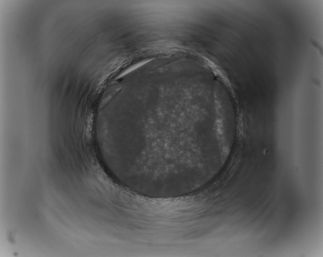 X0000099470018200806061231