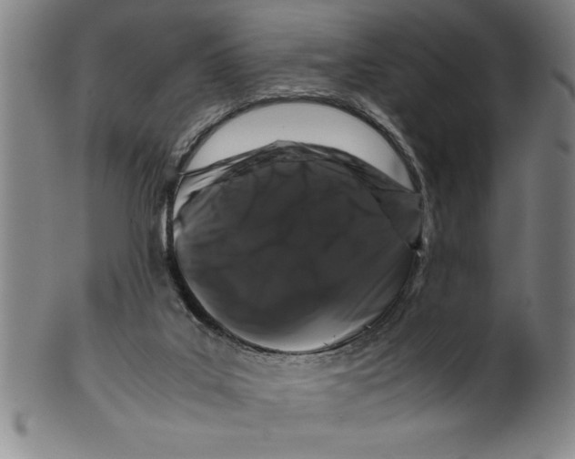 X0000099470019200806061231