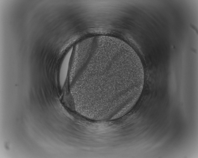 X0000099470020200806061231