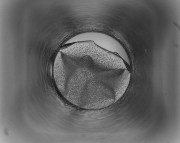 X0000099470021200806061231