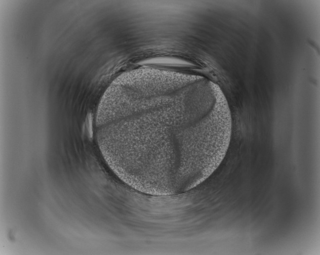 X0000099470022200806061231