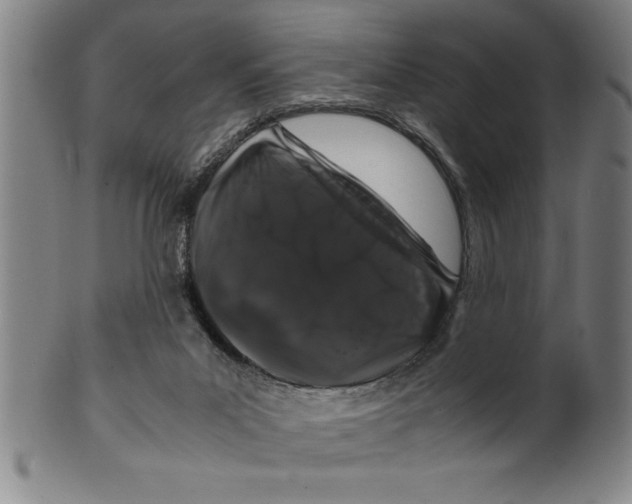 X0000099470023200806061231