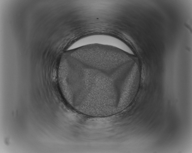 X0000099470025200806061231