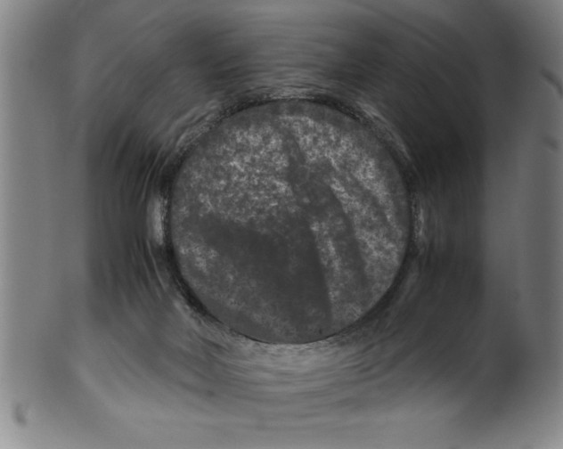 X0000099470026200806061231