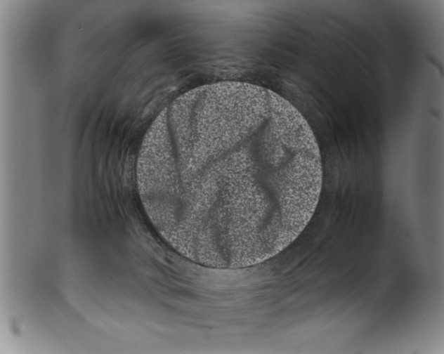 X0000099470034200806061231