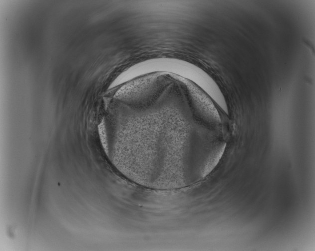 X0000099470037200806061231