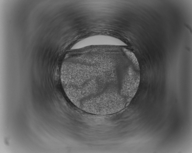 X0000099470040200806061231