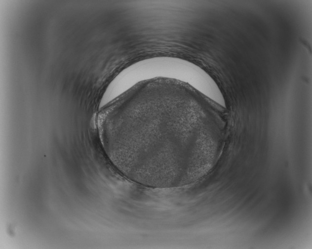 X0000099470041200806061231