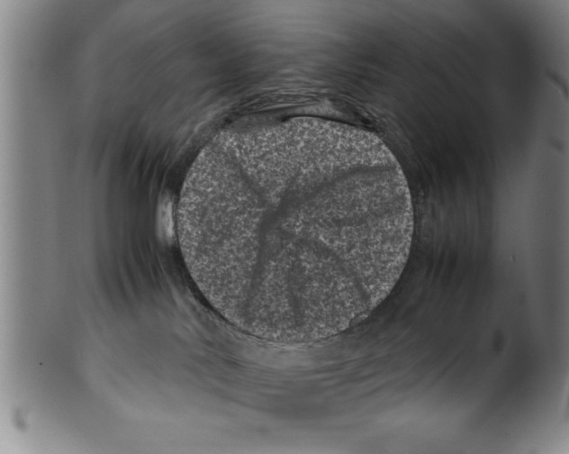 X0000099470042200806061231