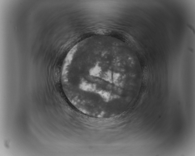 X0000099470043200806061231