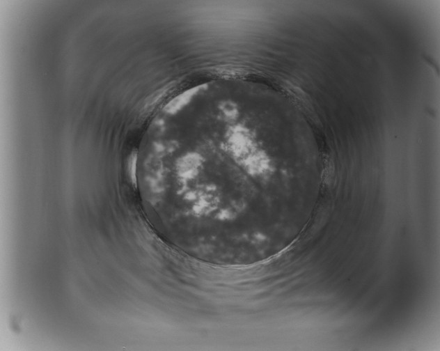 X0000099470047200806061231