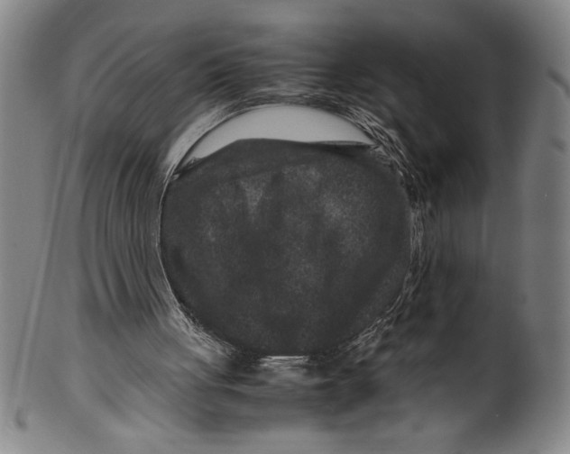 X0000099470051200806061230