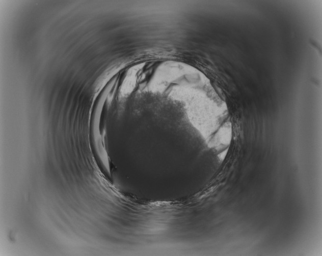 X0000099470052200806061230