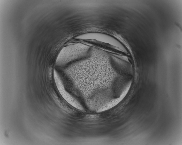 X0000099470057200806061230