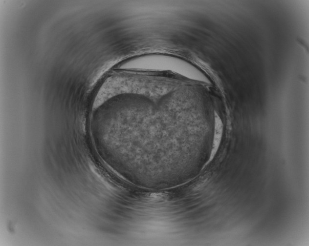 X0000099470060200806061230