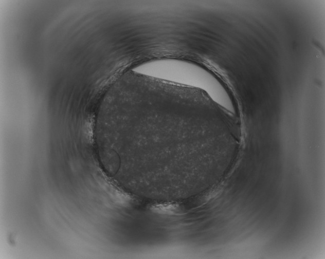 X0000099470065200806061230