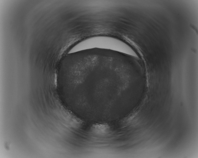 X0000099470067200806061230