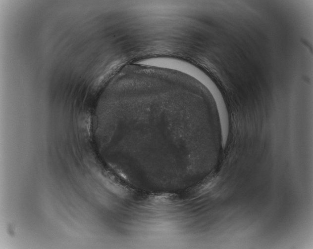 X0000099470072200806061230