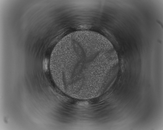 X0000099470075200806061230