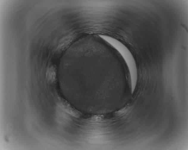 X0000099470080200806061230