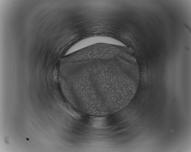 X0000099470081200806061230