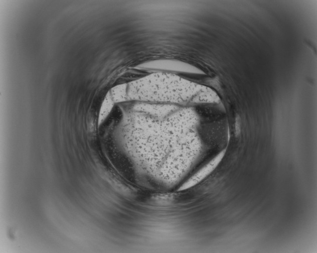 X0000099470084200806061230