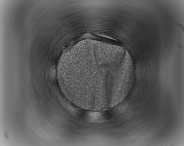 X0000099470085200806061230