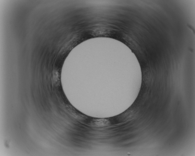 X0000099470087200806061230