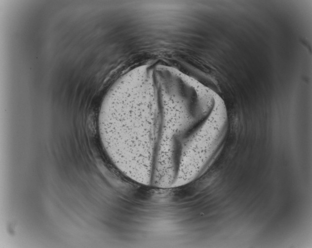 X0000099470088200806061230