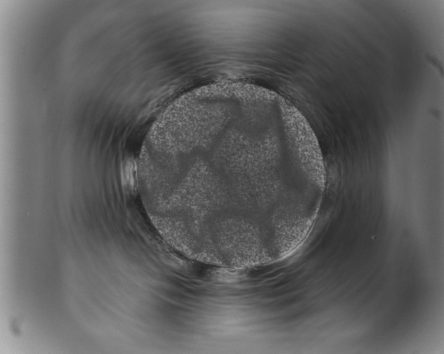 X0000099470094200806061230