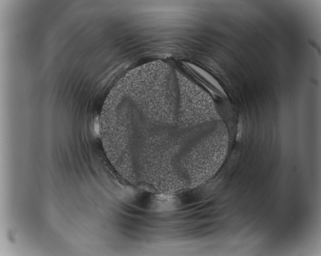 X0000099470095200806061230