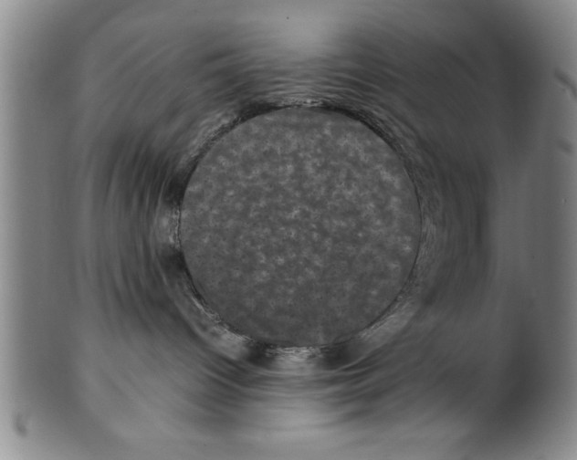 X0000099470096200806061231