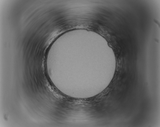 X0000099470098200806061229