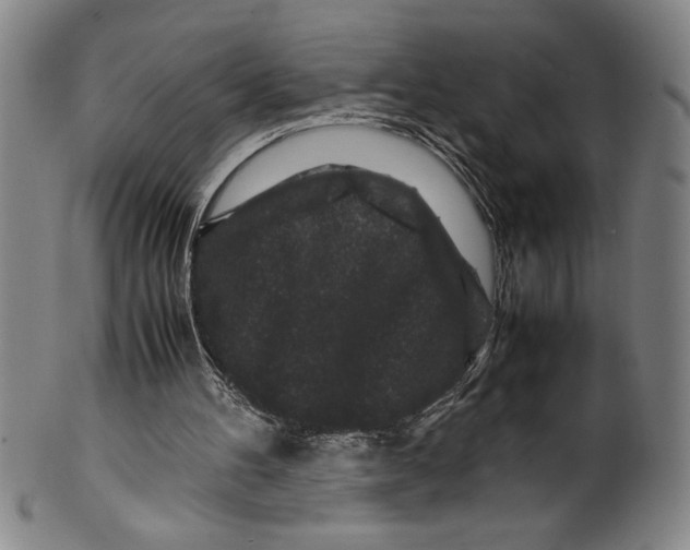 X0000099470100200806061229