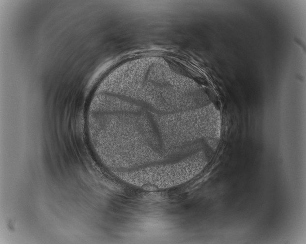 X0000099470102200806061229