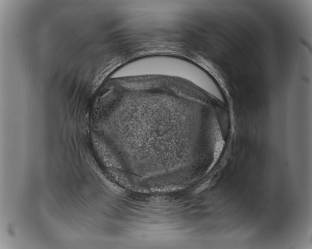 X0000099470105200806061229