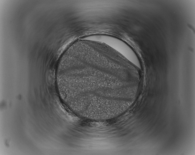 X0000099470107200806061229