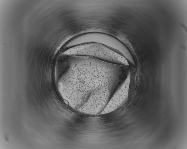 X0000099470108200806061229