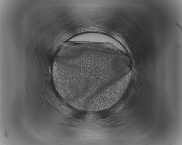 X0000099470109200806061229