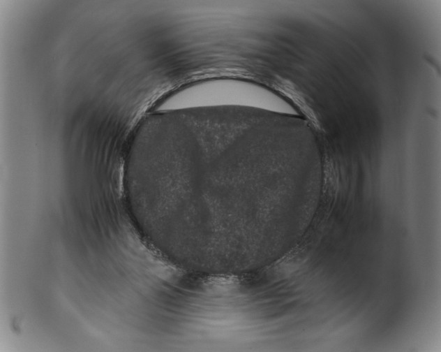 X0000099470110200806061229