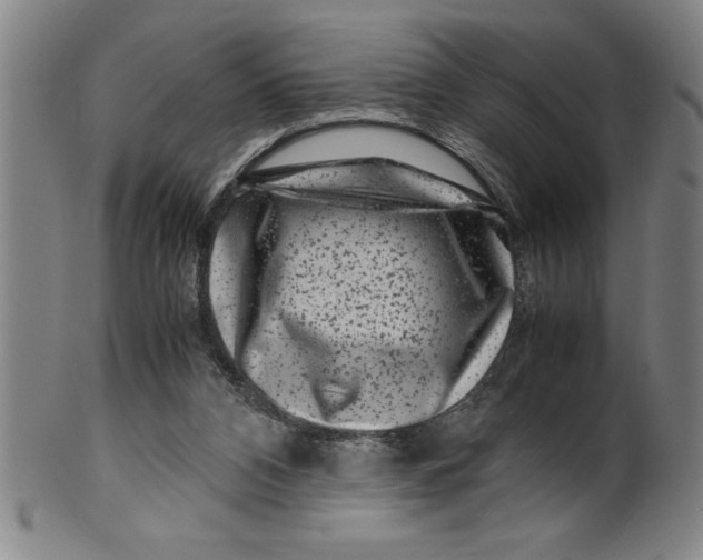 X0000099470112200806061229