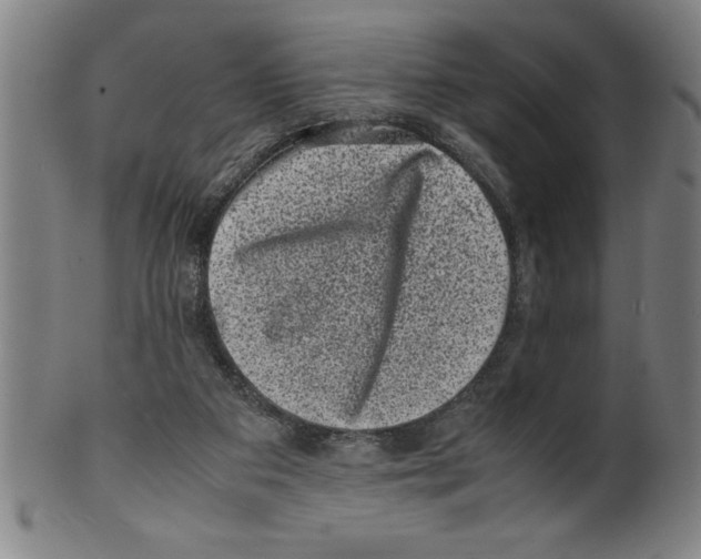 X0000099470113200806061229