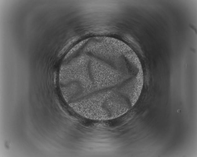 X0000099470115200806061229